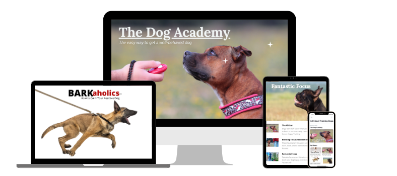 Online dog training help